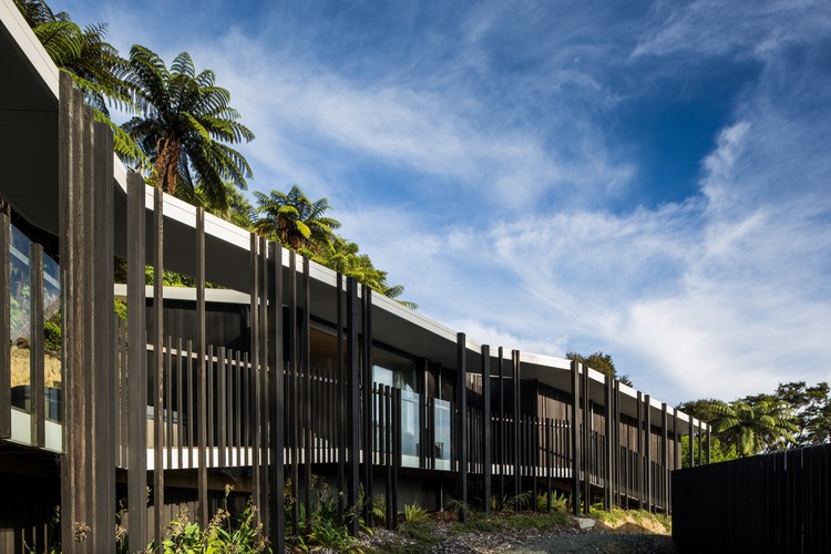 新西兰 Moetapu 度假屋 | 嵌入丛林的折叠式建筑-12