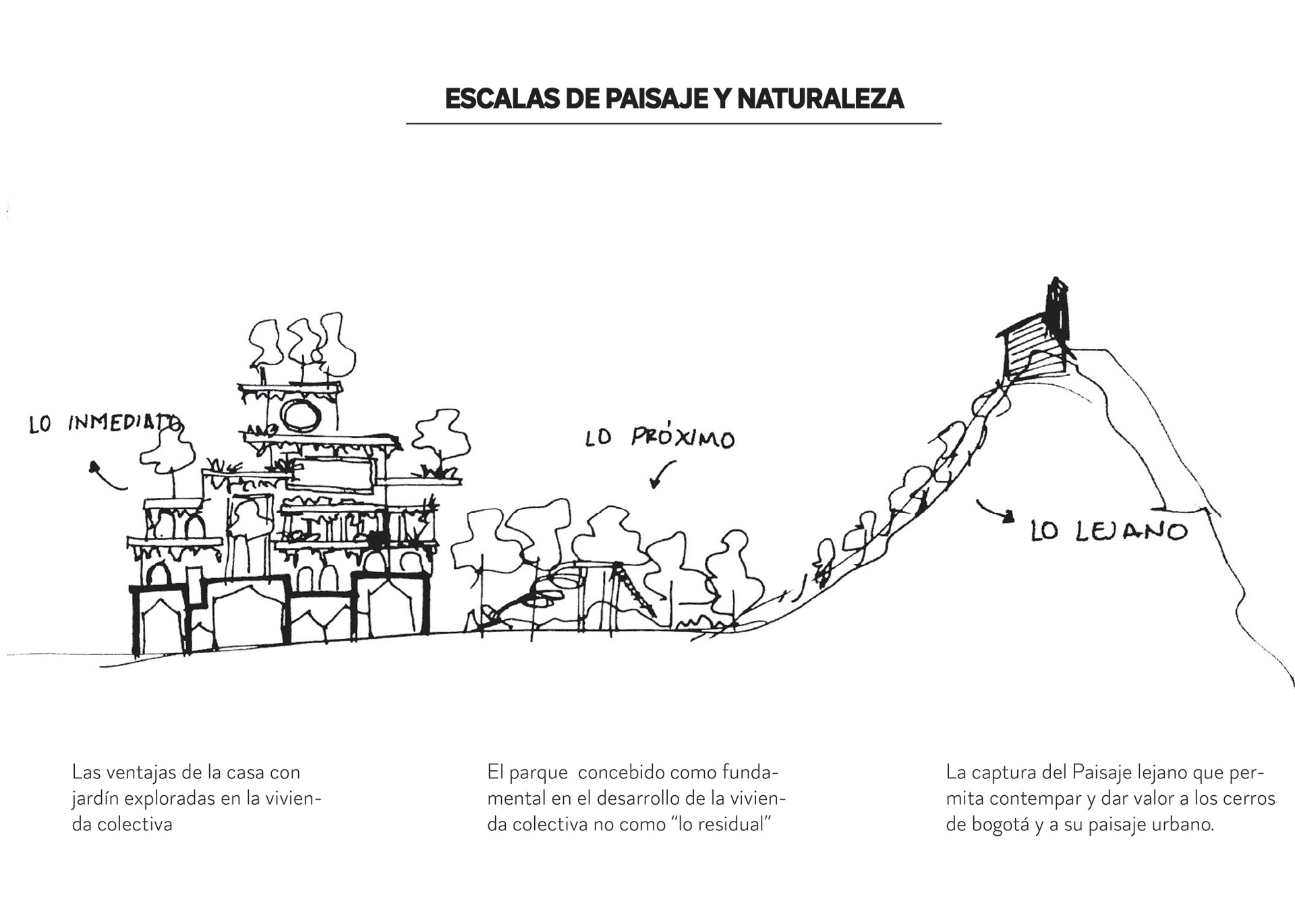 UA2_RECLAMANDO LA NATURALEZA EN LA CASA-2