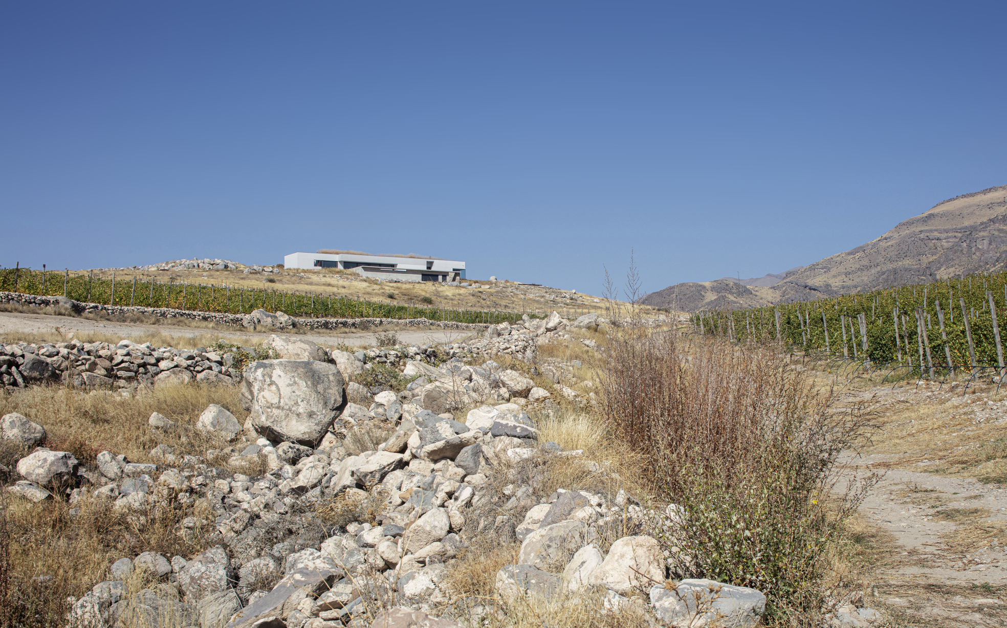 Villa in Rind / "ARCHcoop"-2