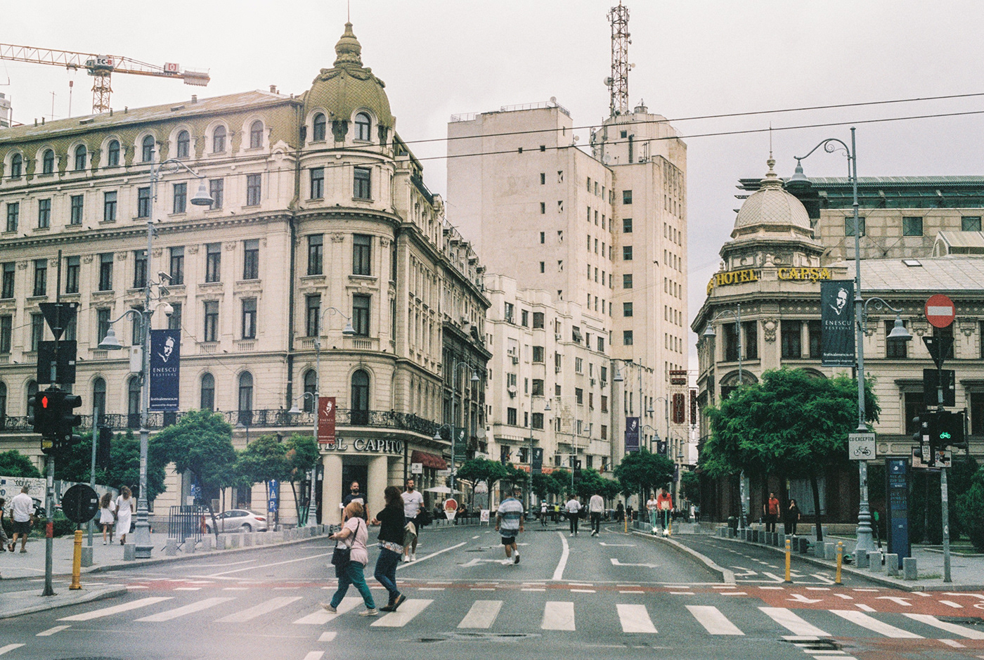 green meeting the city // 35mm film-6