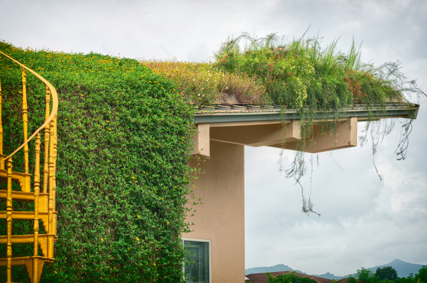 Sunoo 寺庙屋丨印度丨Saket Sethi Design-51