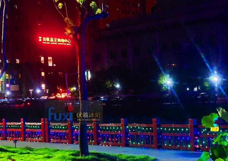 魔都嘉定小灶村梦幻灯光秀-48