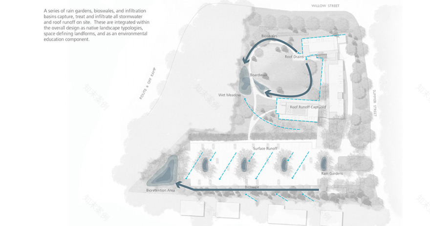 国际野生动物保护区基金会景观恢复项目丨IFAW-9