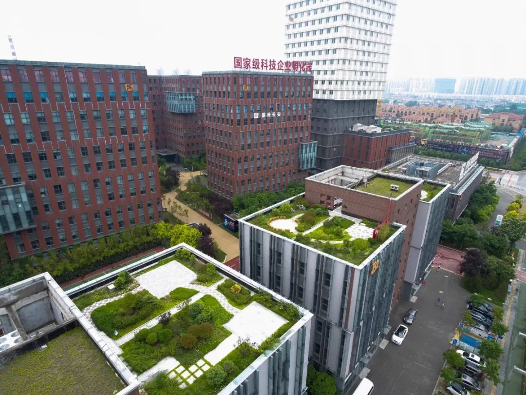 英国友人冒雨打卡海绵城市，意景设计师陪同揭秘海绵城市的“中国答案”-32