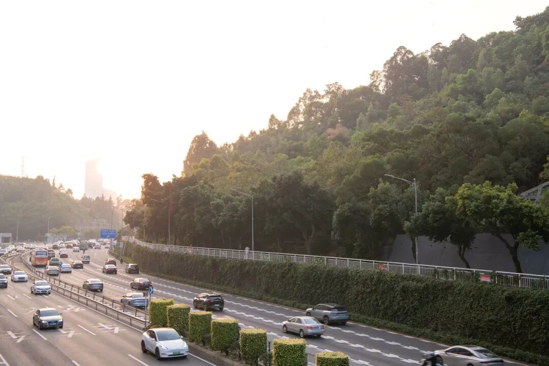 未名新作|山野有乾坤都市藏鲲鹏-深圳山海连城计划罗湖区东湖公园郊野径-莲塘口岸线-33