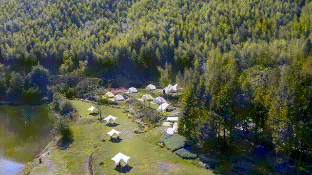 数一轮晨夕 折一朵明媚 | 安吉小杭坑营地-70