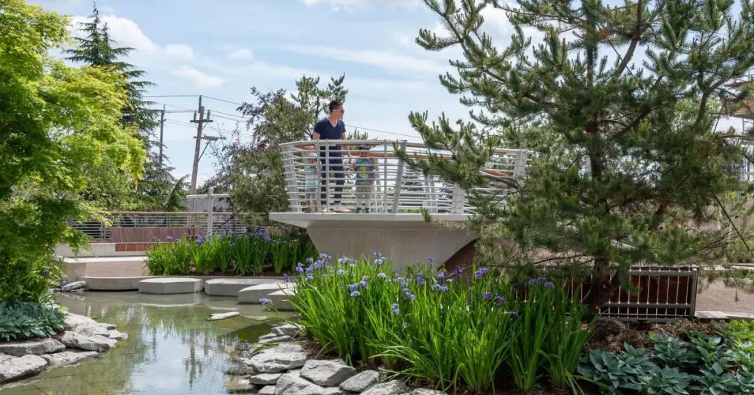 温哥华 Ketcheson Neighbourhood 公园丨哥伦比亚-21