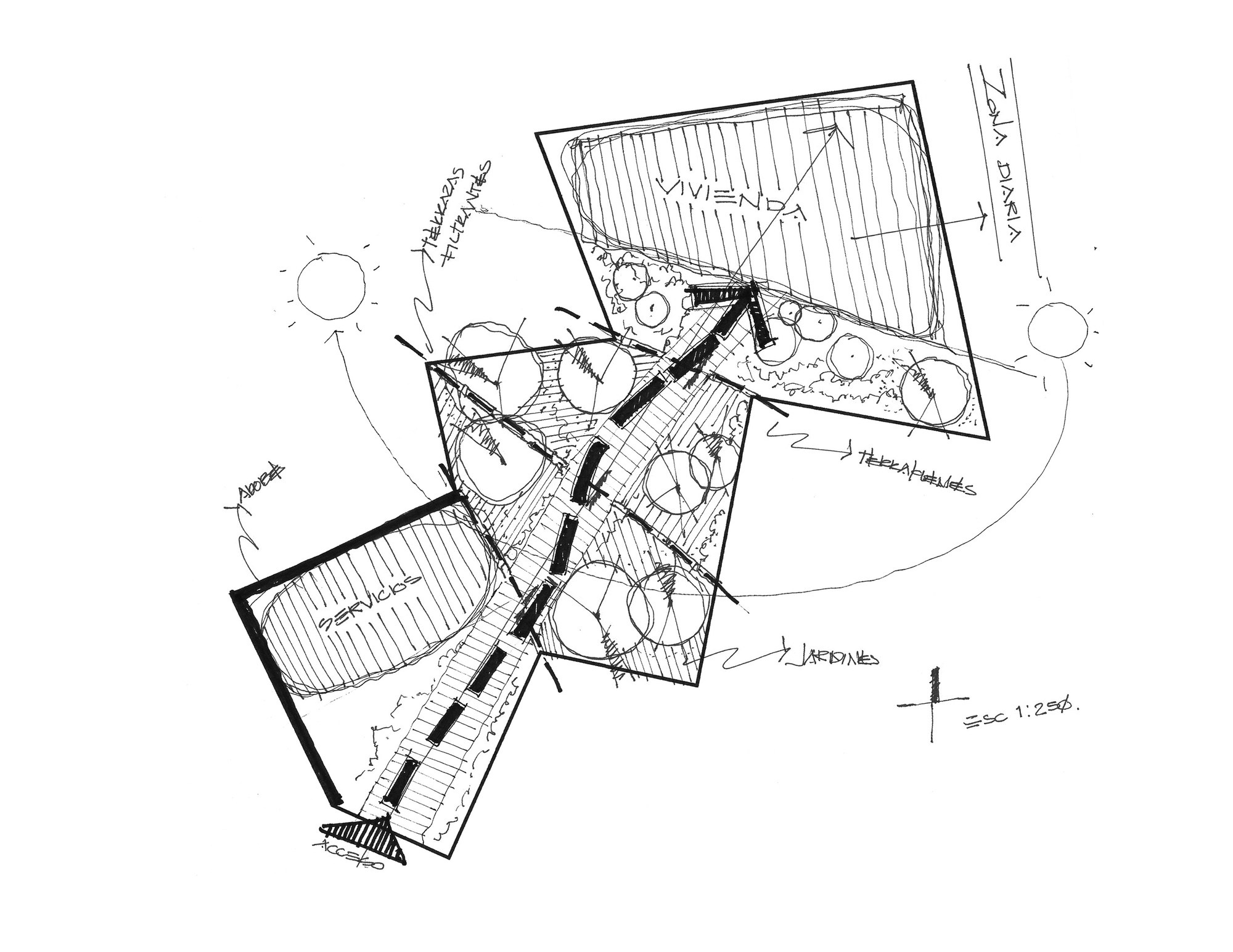 加莱亚纳·马拉瓦蒂奥之家丨墨西哥丨Cometrue | Jaime Miranda González-46