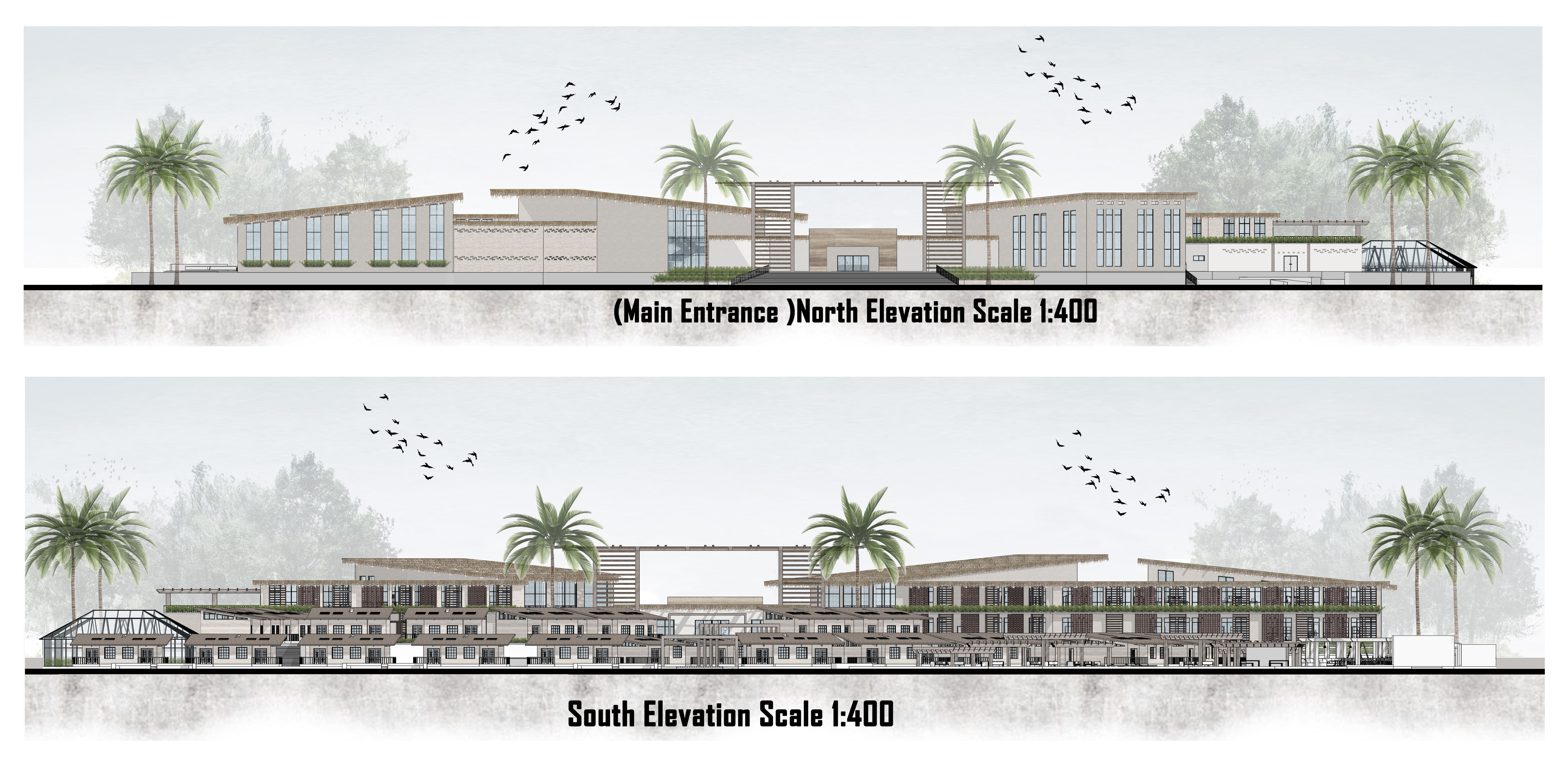 Farmstay Resort 毕业项目丨埃及-16