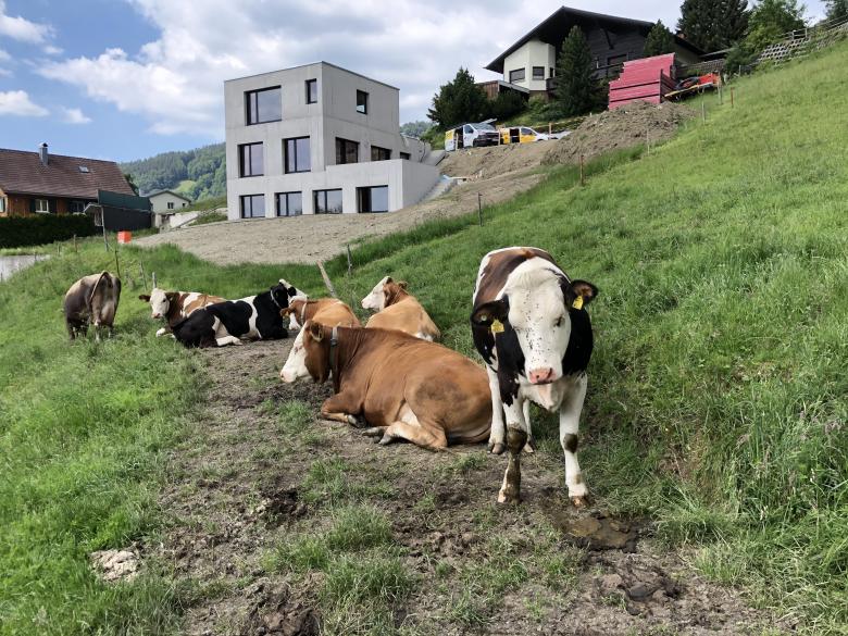 Architekten Wimmer-Armellini丨Haus C in Dafins丨奥地利-11