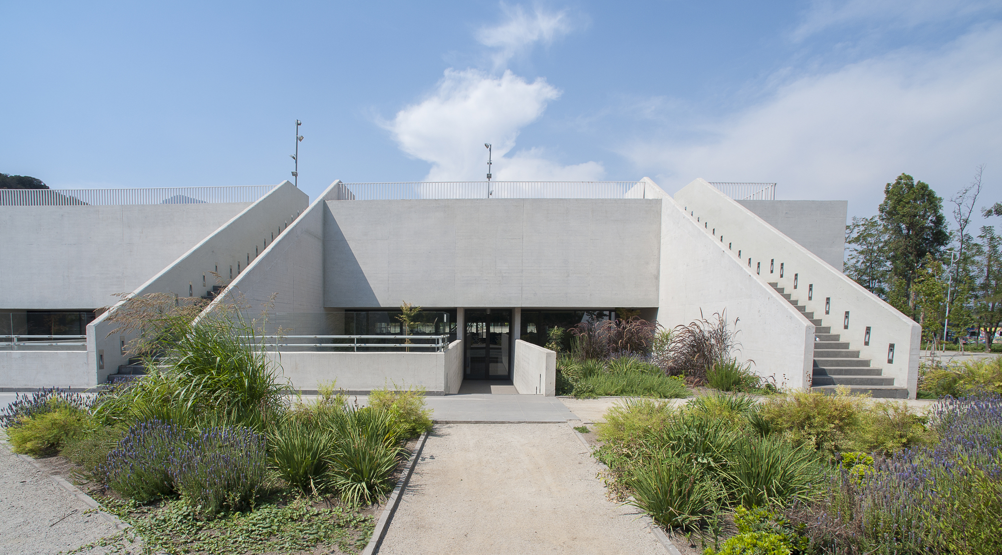 智利森林中的圣乔治学院体育馆-27