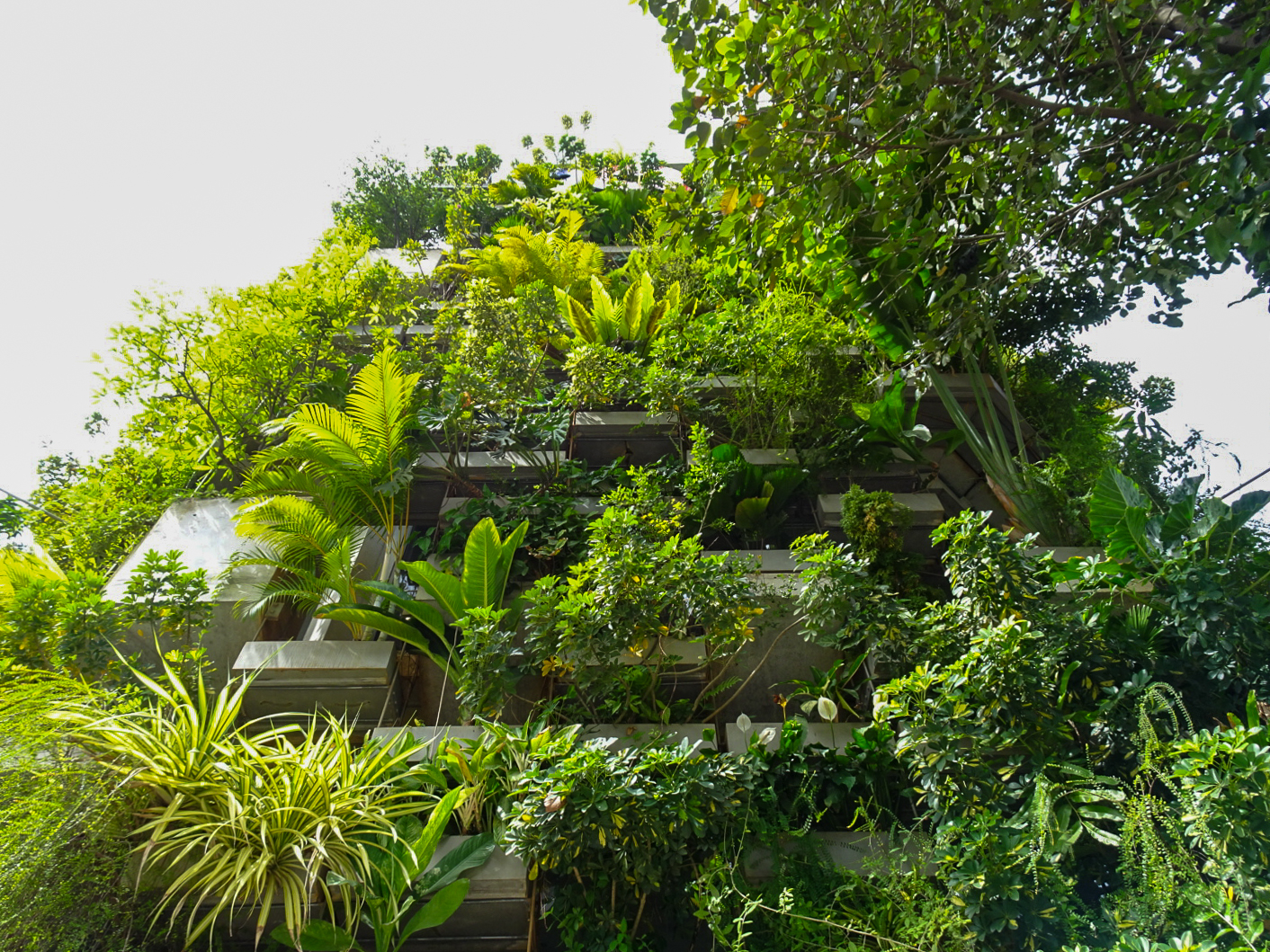 アーバン・ファーミング・オフィス | ベトナム の建築【世界建築巡り】-36