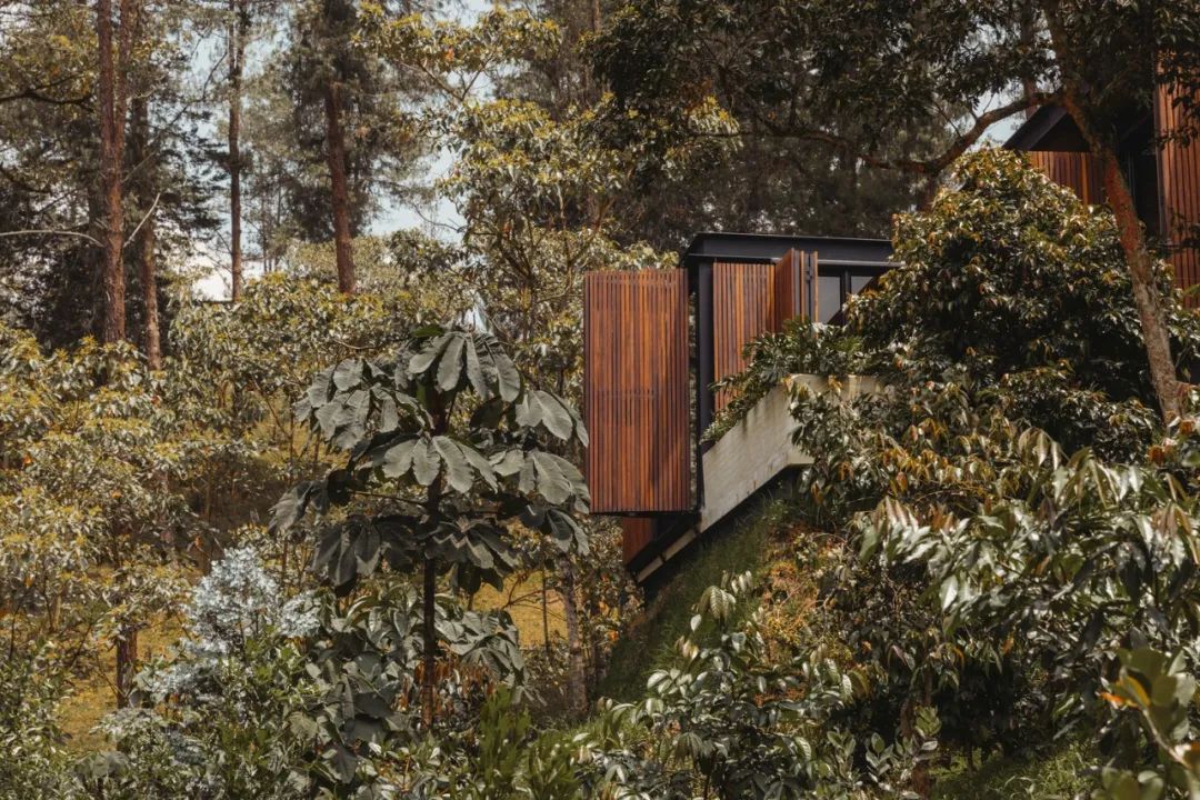 安蒂奥基亚 C+n 家庭住宅 | 自然环境与室内空间的完美融合-23