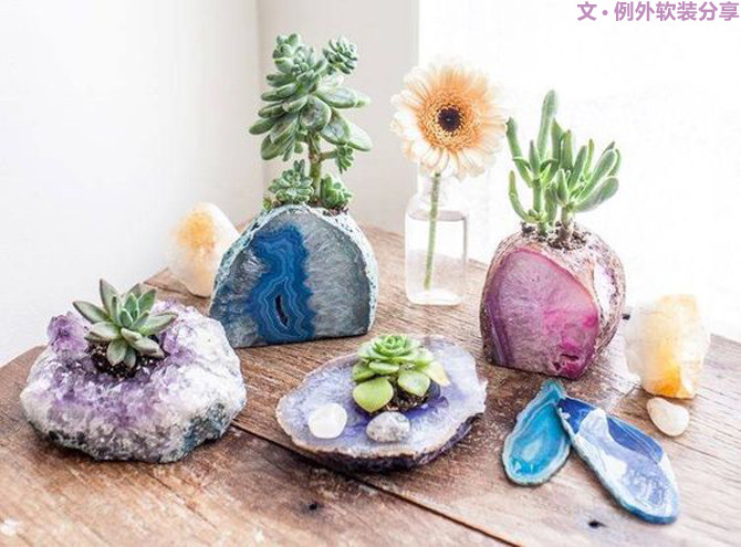 多肉植物的室内设计魅力-6