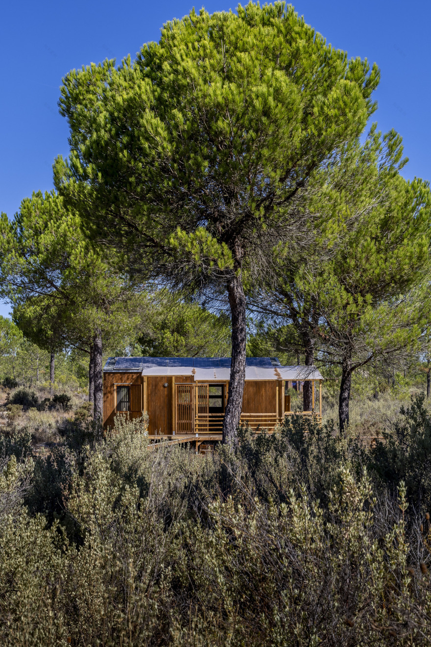 乡村民宿丨葡萄牙丨Madeiguincho-10