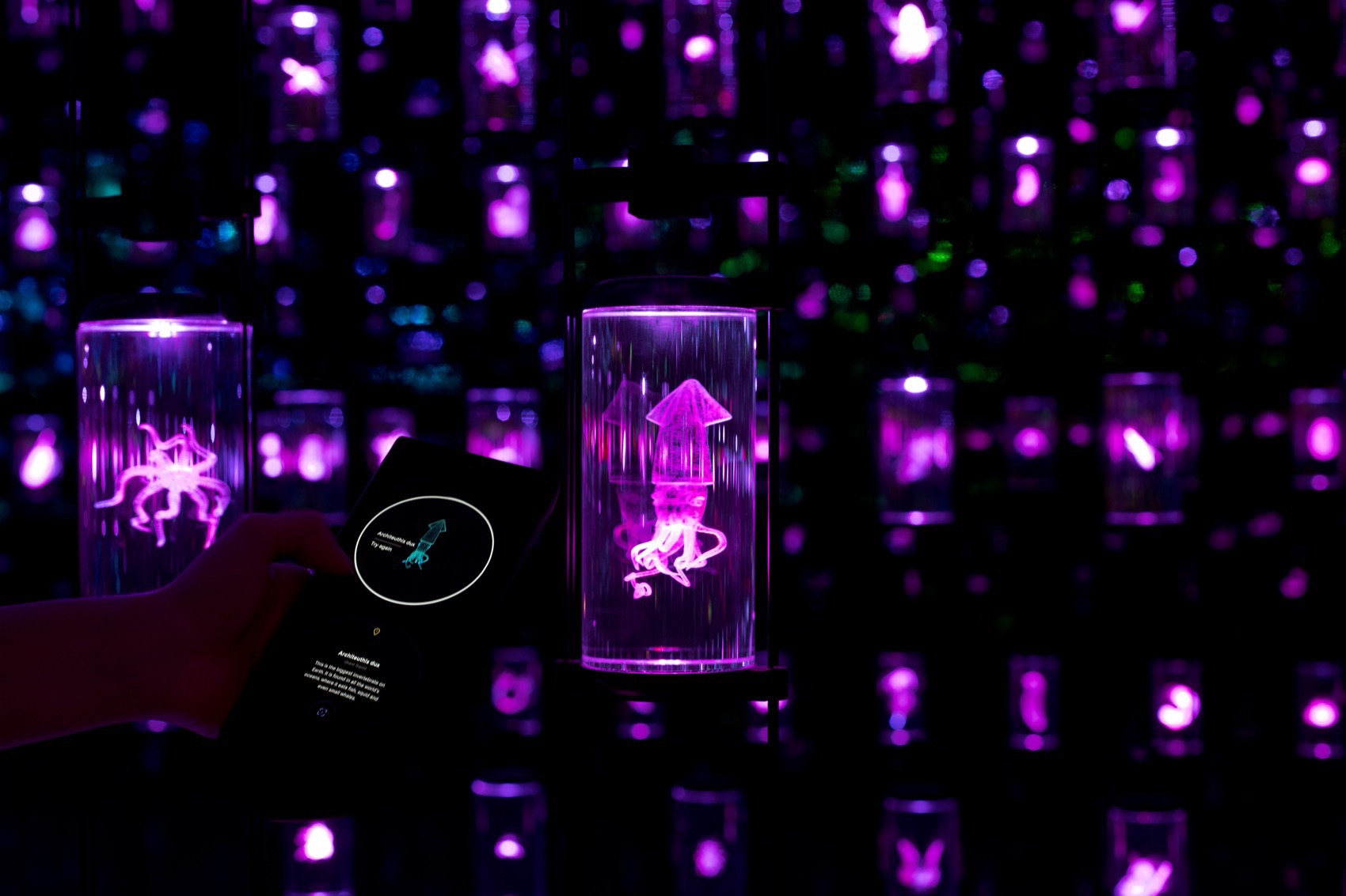 “先驱者之旅”展览丨阿联酋迪拜丨ATELIER BRÜCKNER事务所-25