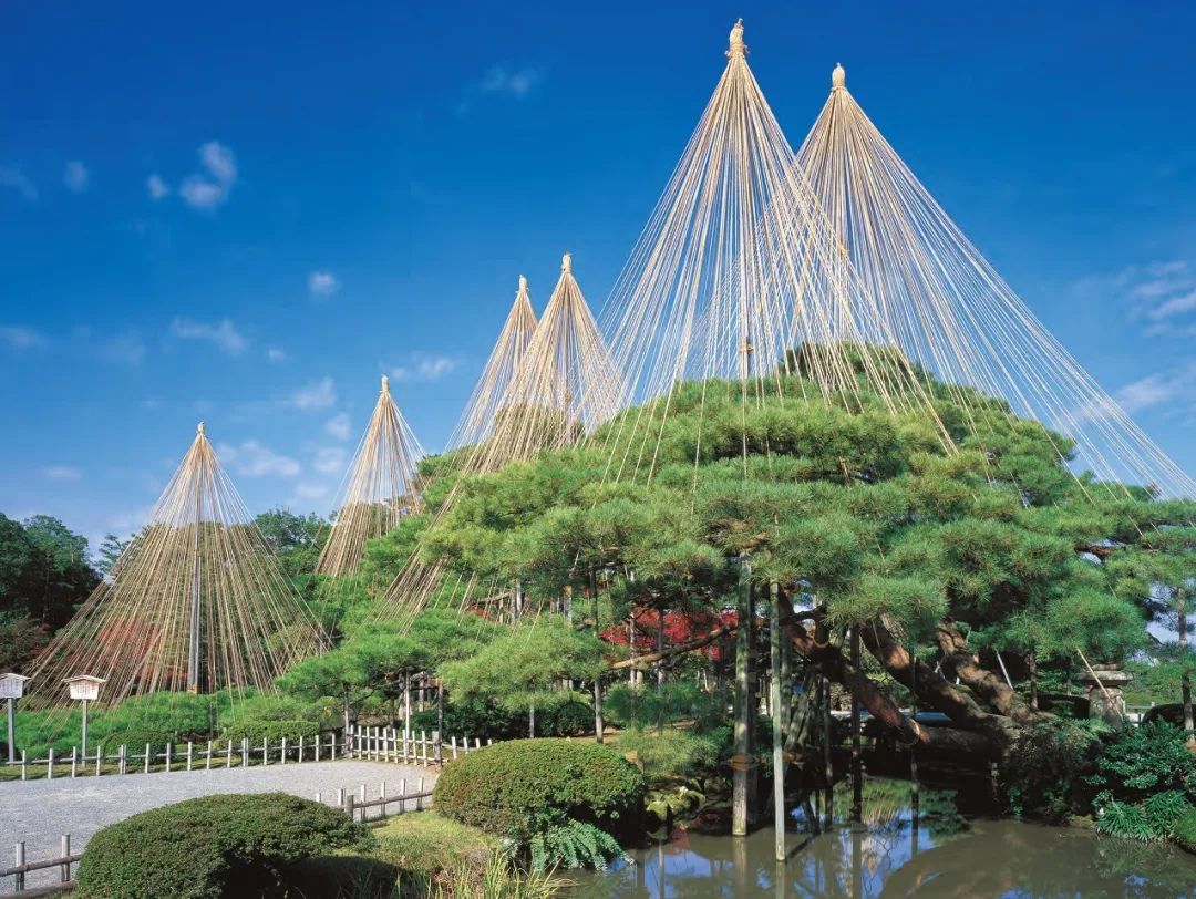 日本庭园艺术 | 传统与现代的完美结合-14