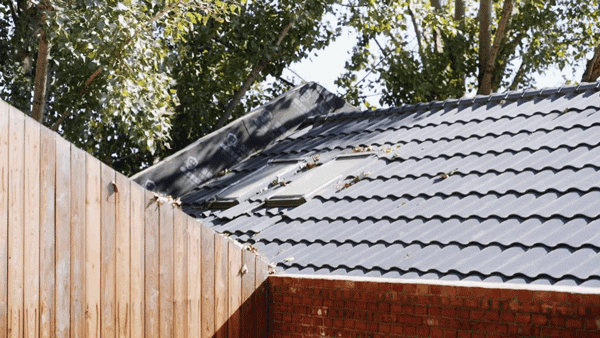 天津教授造神秘住宅:全年不花一分钱水电费,中国首例-158