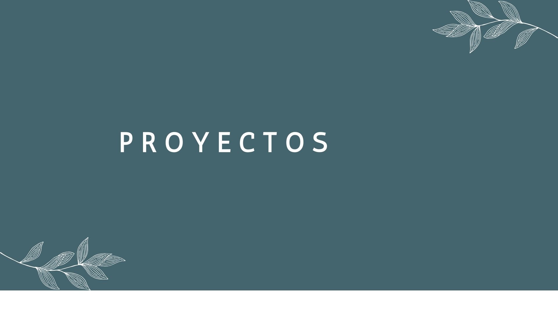 PORTAFOLIO SABRINA RIOS-3