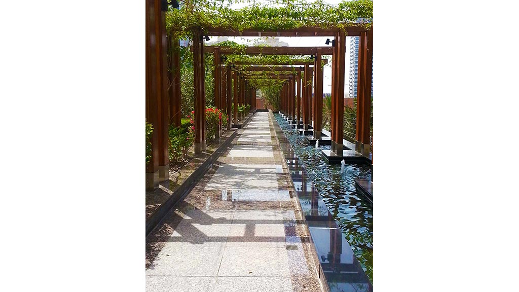 迪拜金融中心丽思卡尔顿酒店与公寓-6