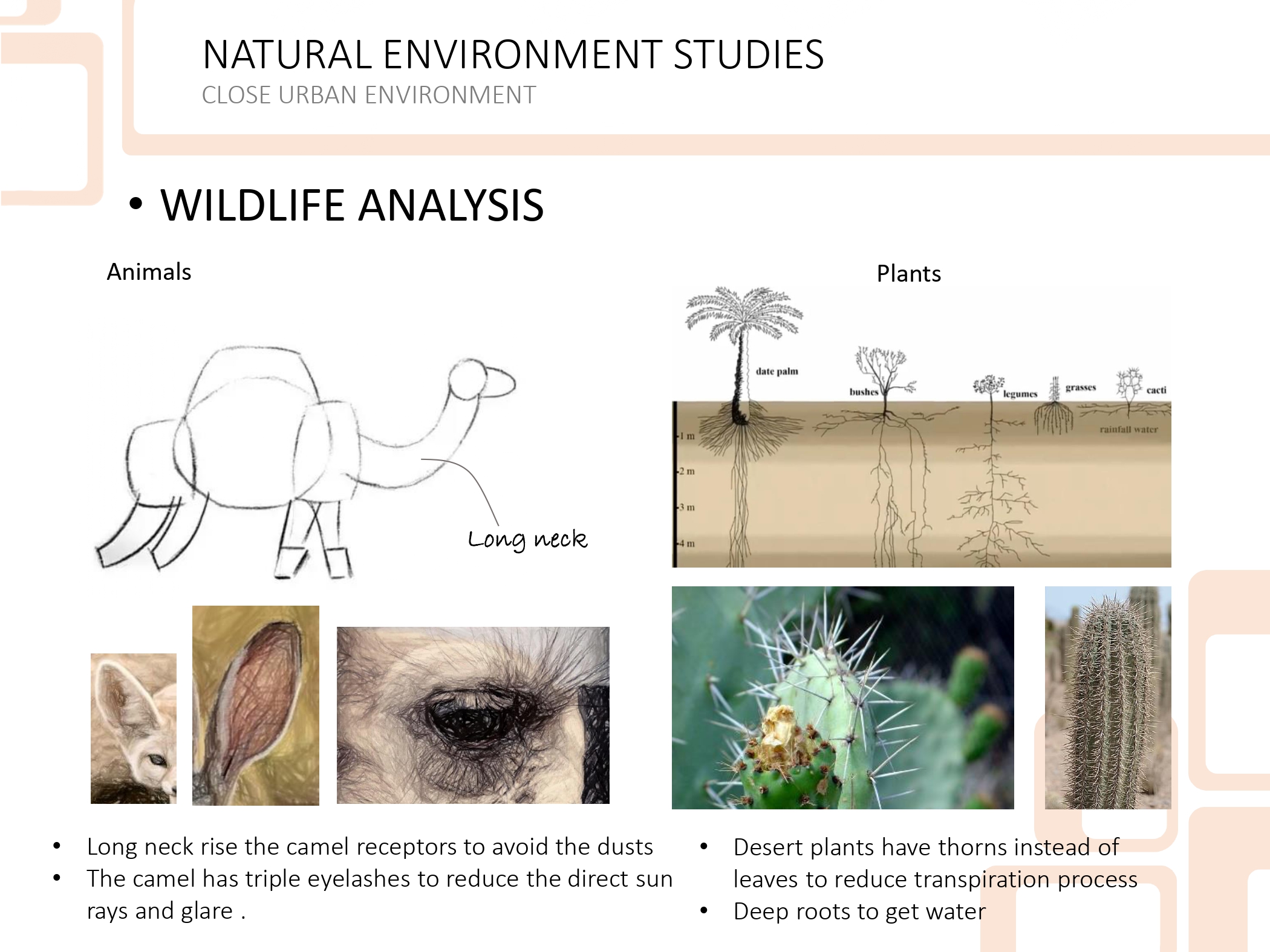 HEROSHATIO 手工艺村丨ARCH,MAHMOUD NABIL-19