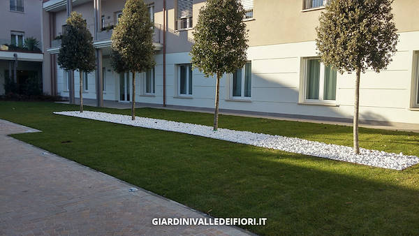 格林公园  老年人住宅花园（注：RSA在意大利语里常指Residenza per Anziani即老年人住宅，Giardino RSA可理解为与之相关的花园，但这里推测信息可能不太完整准确） 丨Giardini Valle dei Fiori的绿植专家团队-11