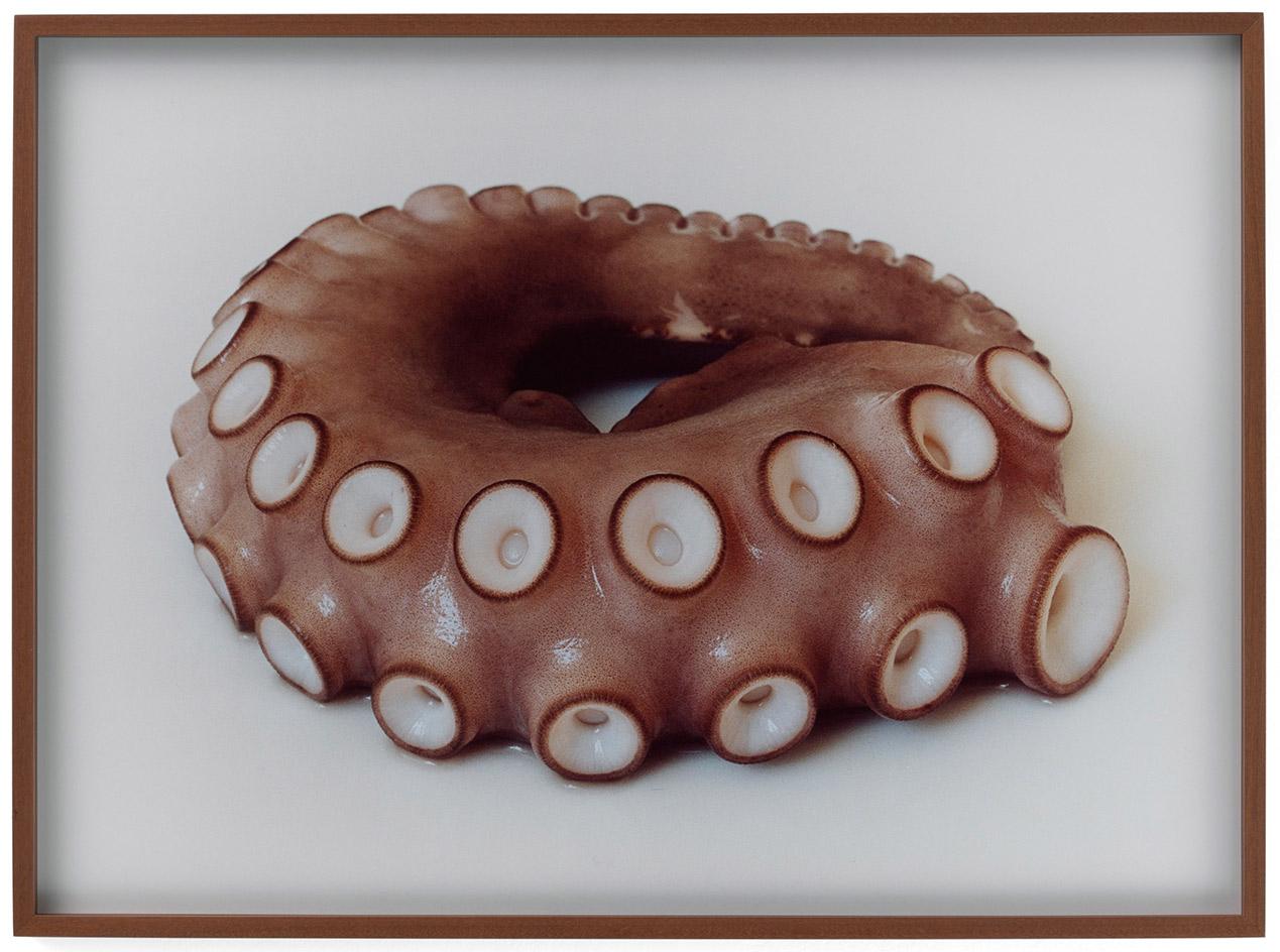 瑞士 Hauser & Wirth 画廊打造沉浸式冬季沙龙-13