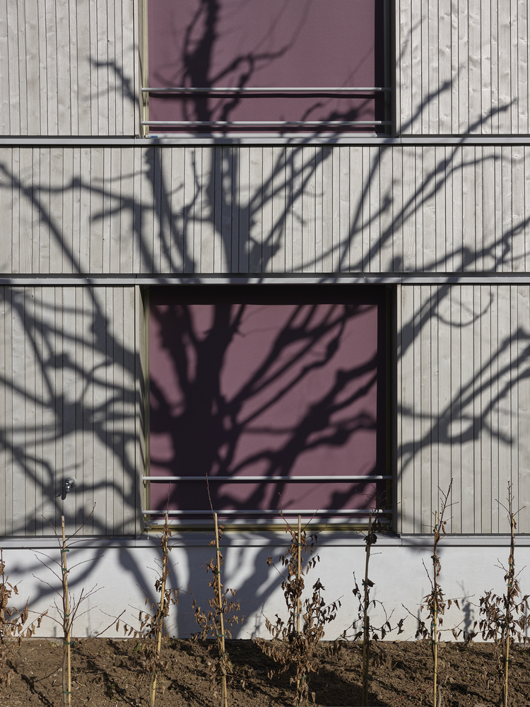 瑞士Gartenstrasse住宅楼-15