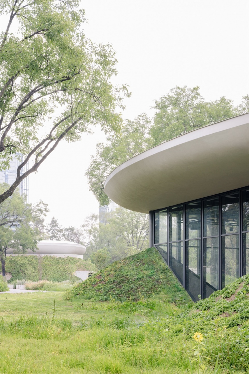 墨西哥风景花园丨墨西哥墨西哥城丨Michan Architecture等多家单位-32