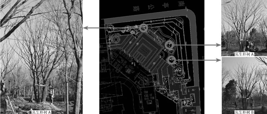 上海大名城·映雨江南丨中国上海丨上海集塔景观建筑设计有限公司-71