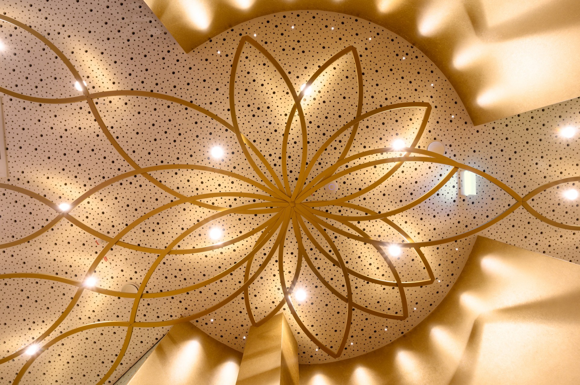 Dhimahi 办公室 · 数字化世界的千瓣莲花设计丨Superform-9