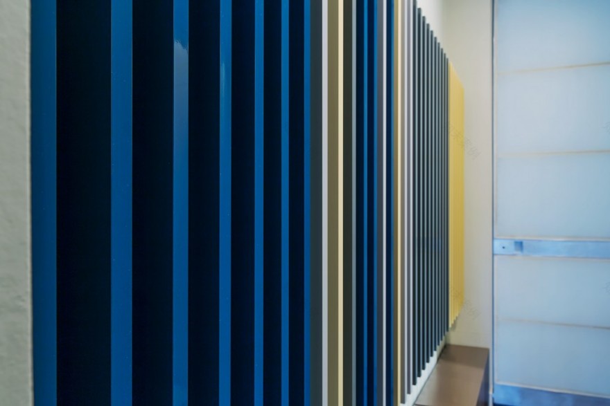 丨美国纽约市丨Fleur de lis interior design-9