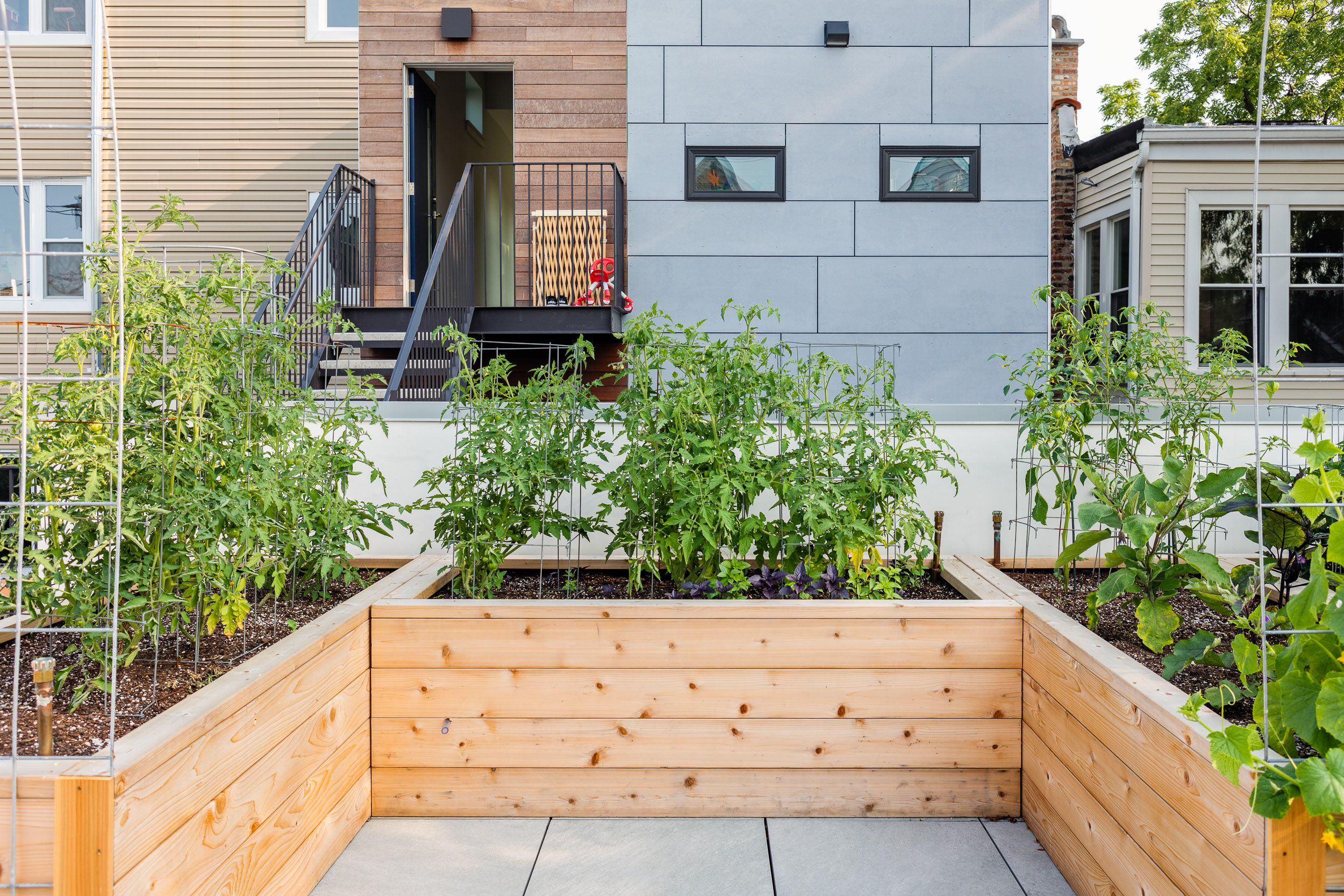 LEED 多代同堂住宅丨美国芝加哥丨Canopy,A + D-22