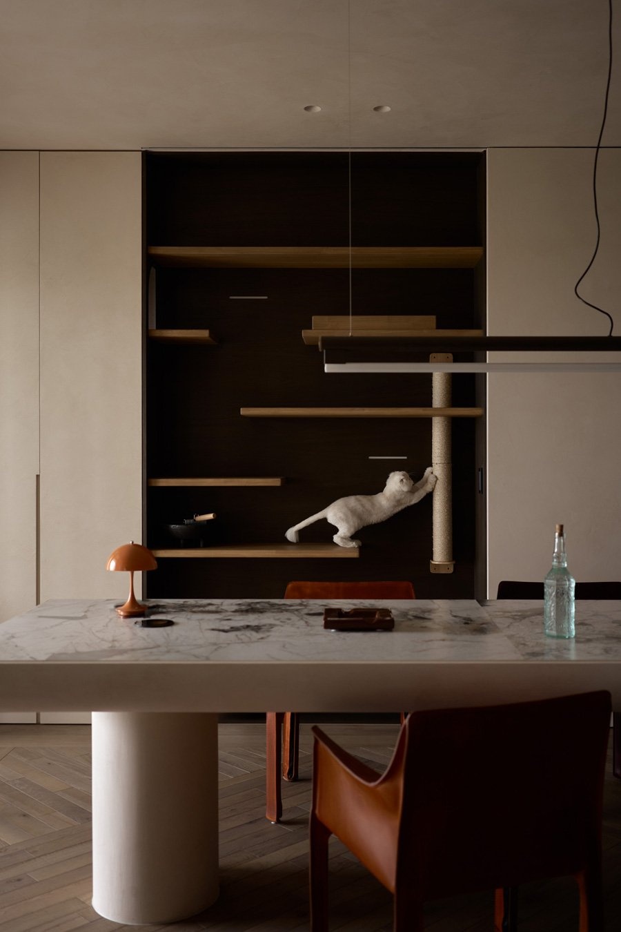 解构人猫共生的无界哲学-29