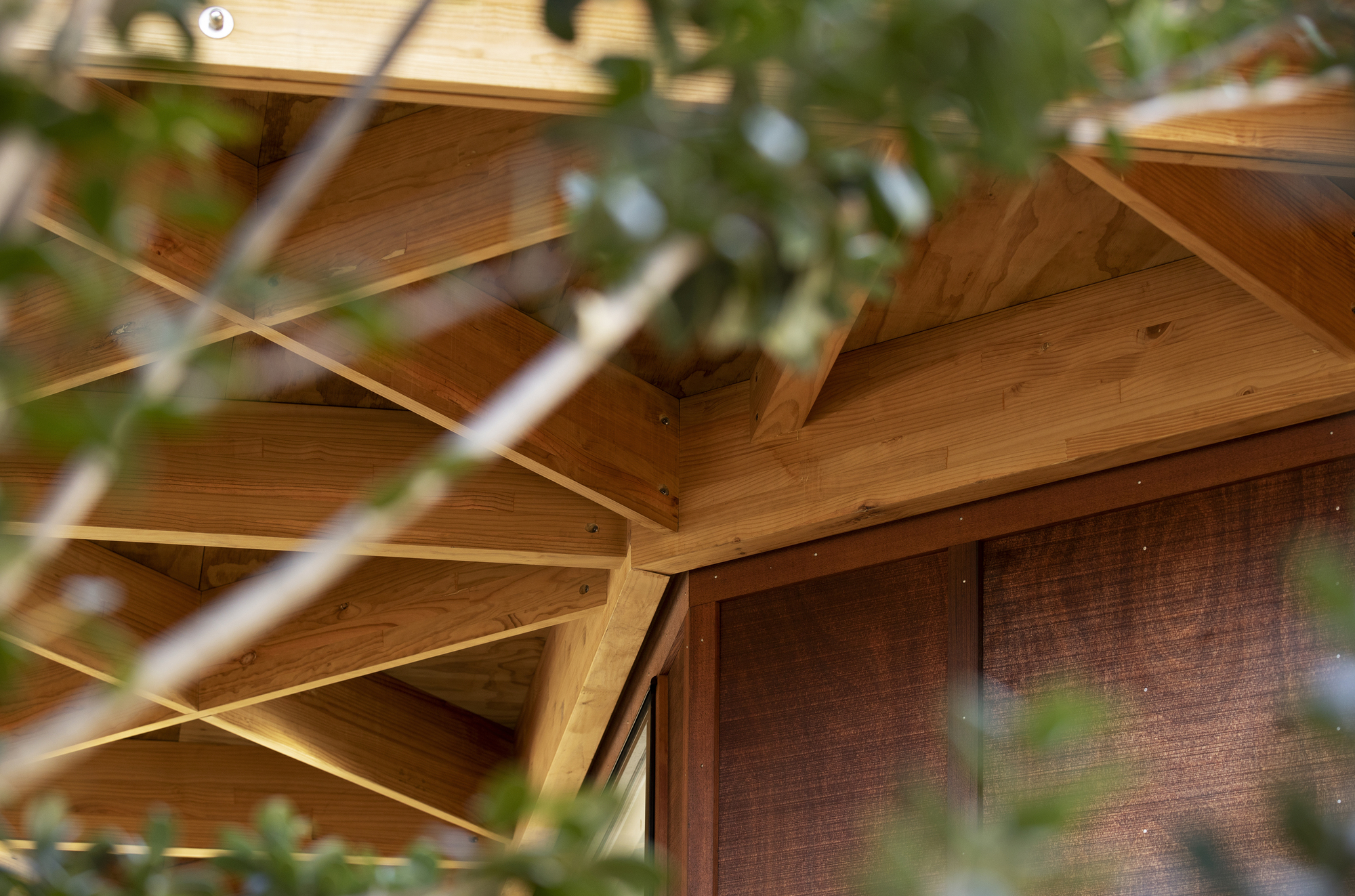 New Shoots 儿童中心丨新西兰-30