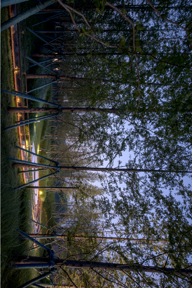 郑州荥阳融创•御栖玖里 | 自然与艺术的和谐共生-9