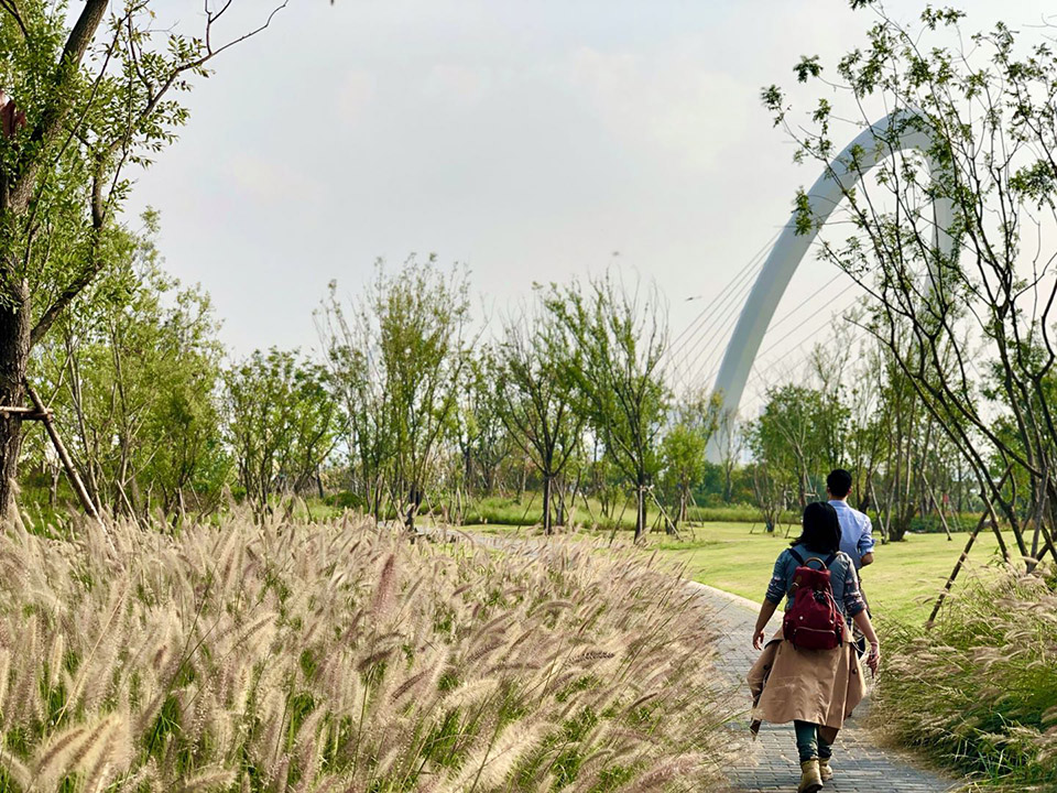 新加坡·南京生态科技岛-21