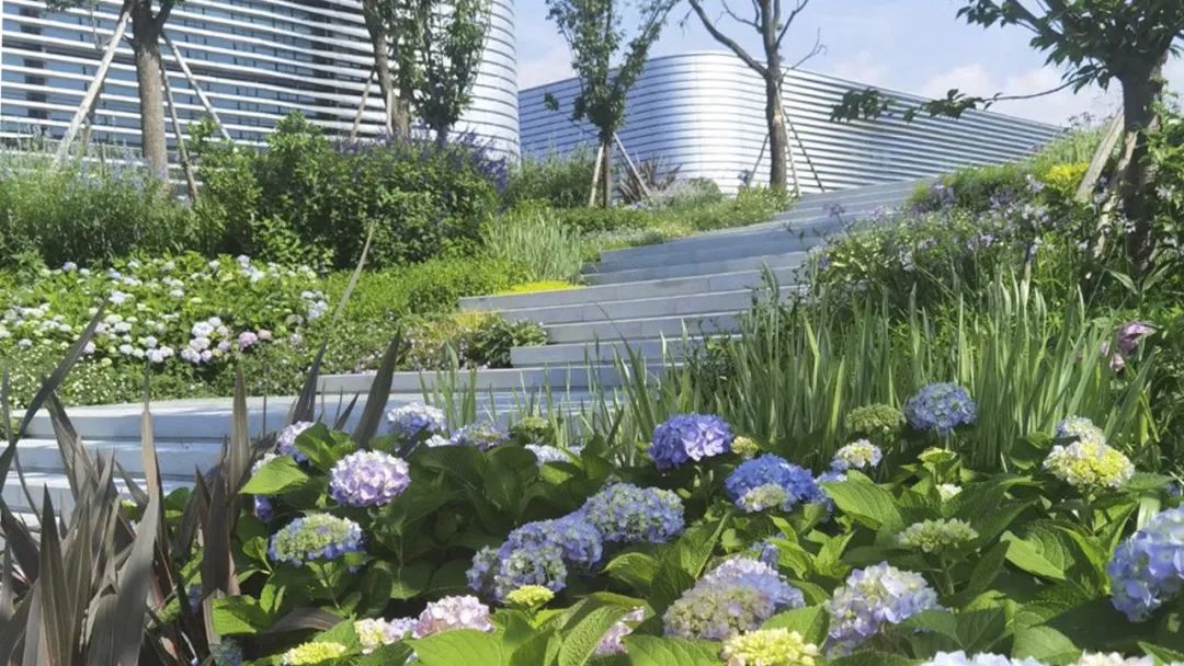 东安湖体育公园(世界大运公园)丨中国成都丨阿特金斯顾问(深圳)有限公司,CELEC成都绿茵景园-108