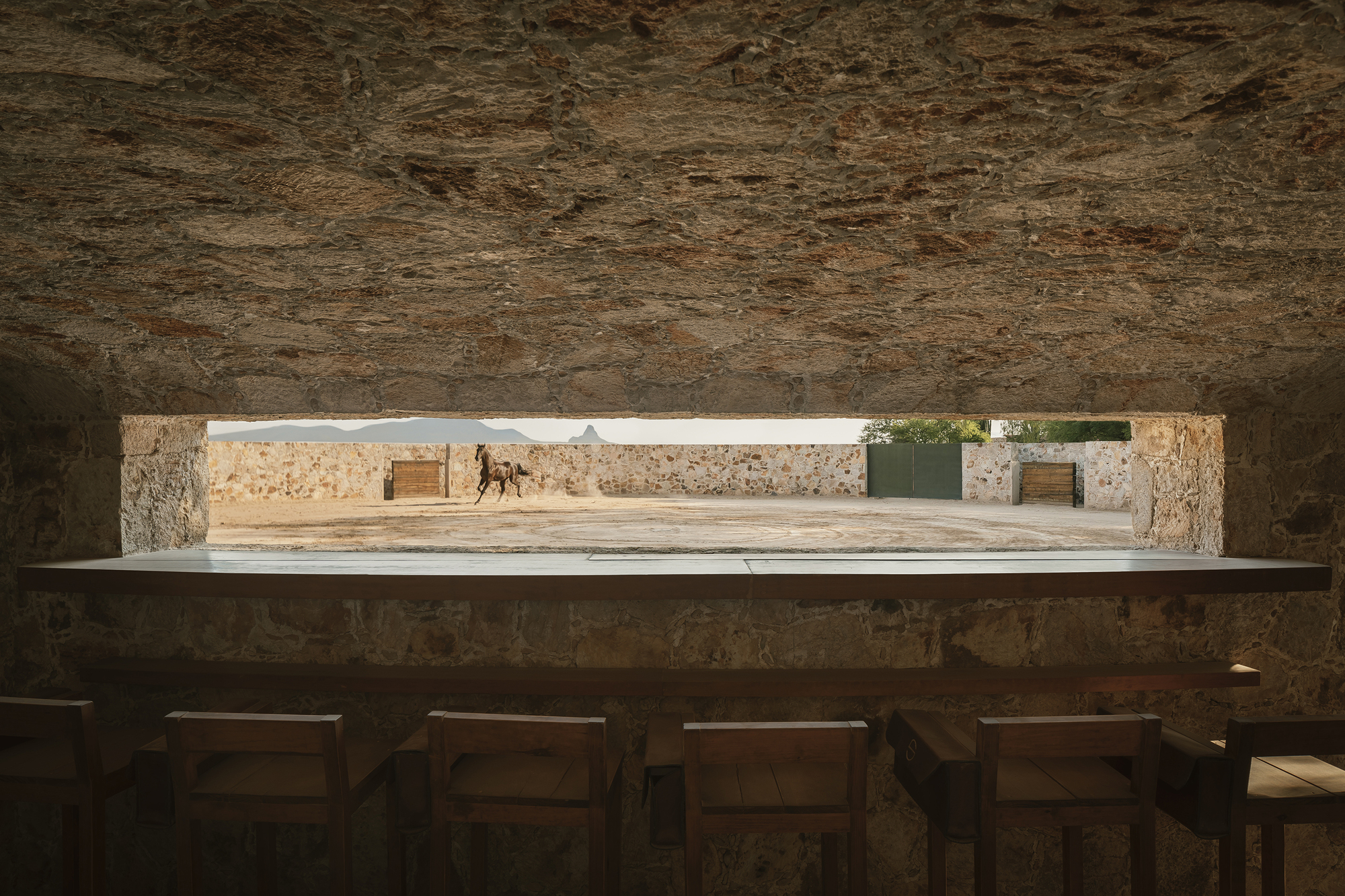 桑蒂利亚农场,宇宙(注:Cosmos常见含义为宇宙 ,但可能结合特定语境有其他更合适的表意,若这里Cosmos为特定名称,因缺乏更多信息,难保证是最精准表意) 丨墨西哥-33