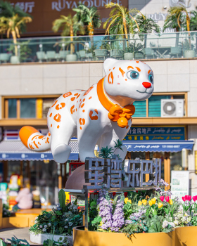 星湾乐巴扎  商业街区氛围美陈丨山河万朵文化