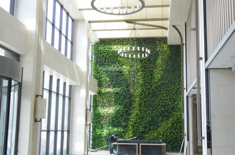 天水 财富阳光酒店-植物墙-4