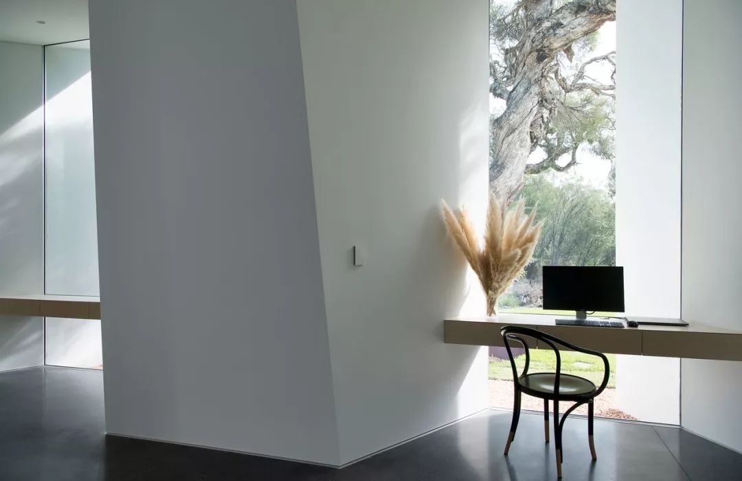 澳大利亚丛林中的梦幻极简别墅-14