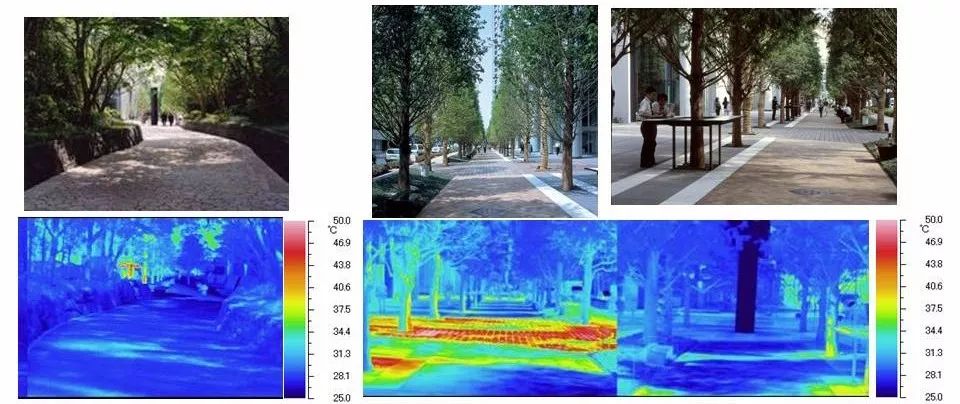 绿意盎然的城市智慧 | 自然景观设计重塑城市生活-35