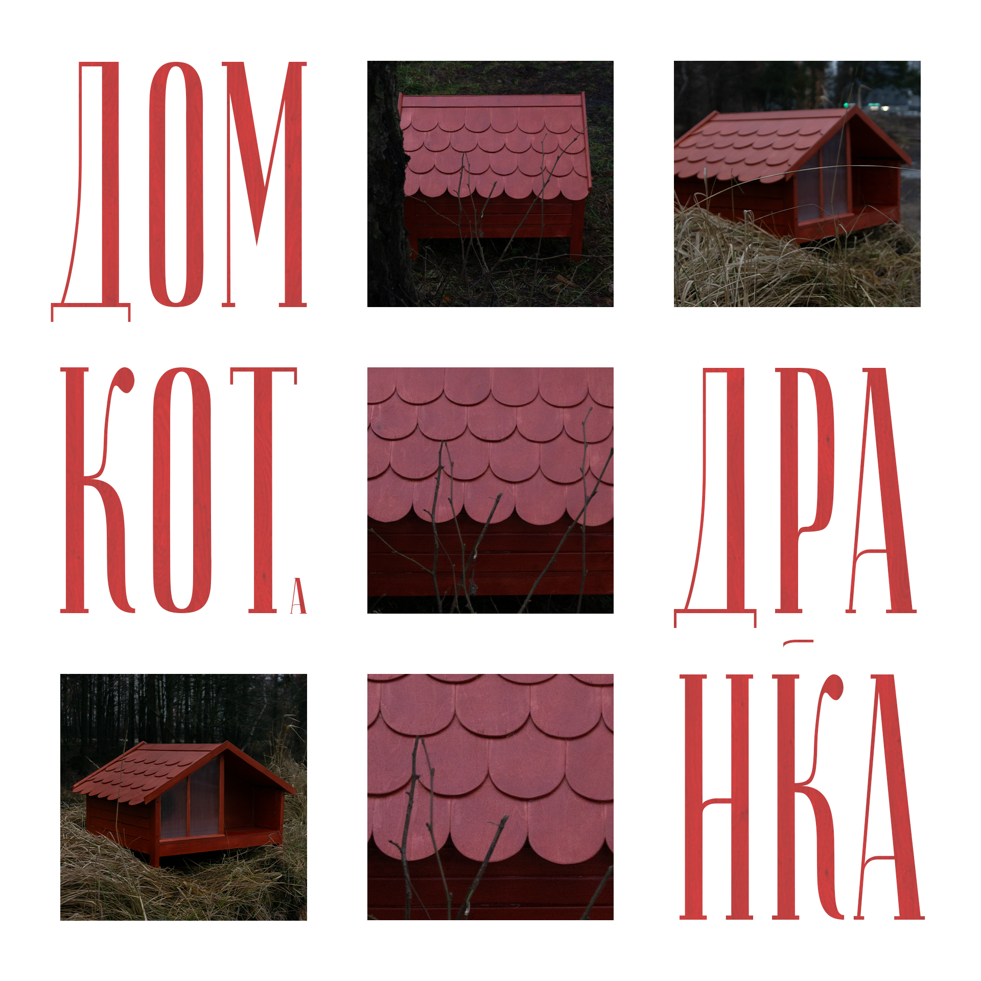 Кошкин дом(猫的房子)丨文本未明确提及-11