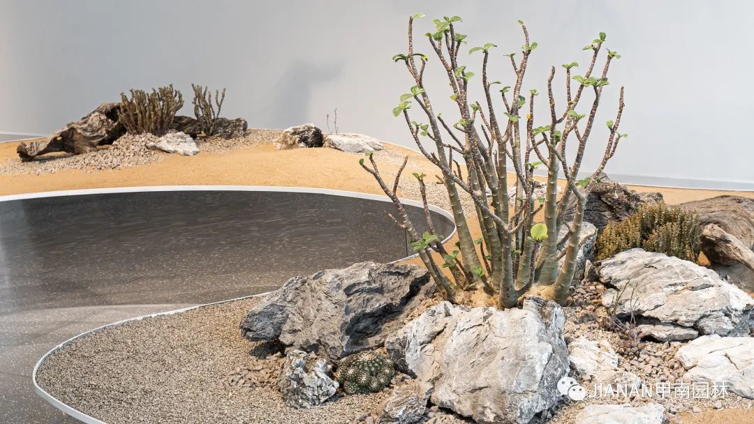 阿那亚“与自然共生”跨界合作设计丨甲南园林-24