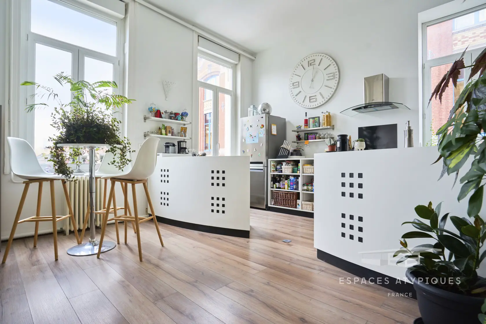 巴黎式公寓 | 绿意盎然的植物爱好者之家-4