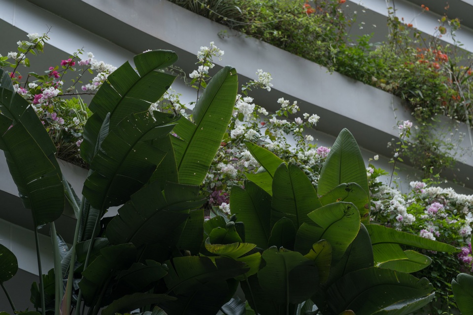 深圳无界花园丨中国深圳丨大小景观-57