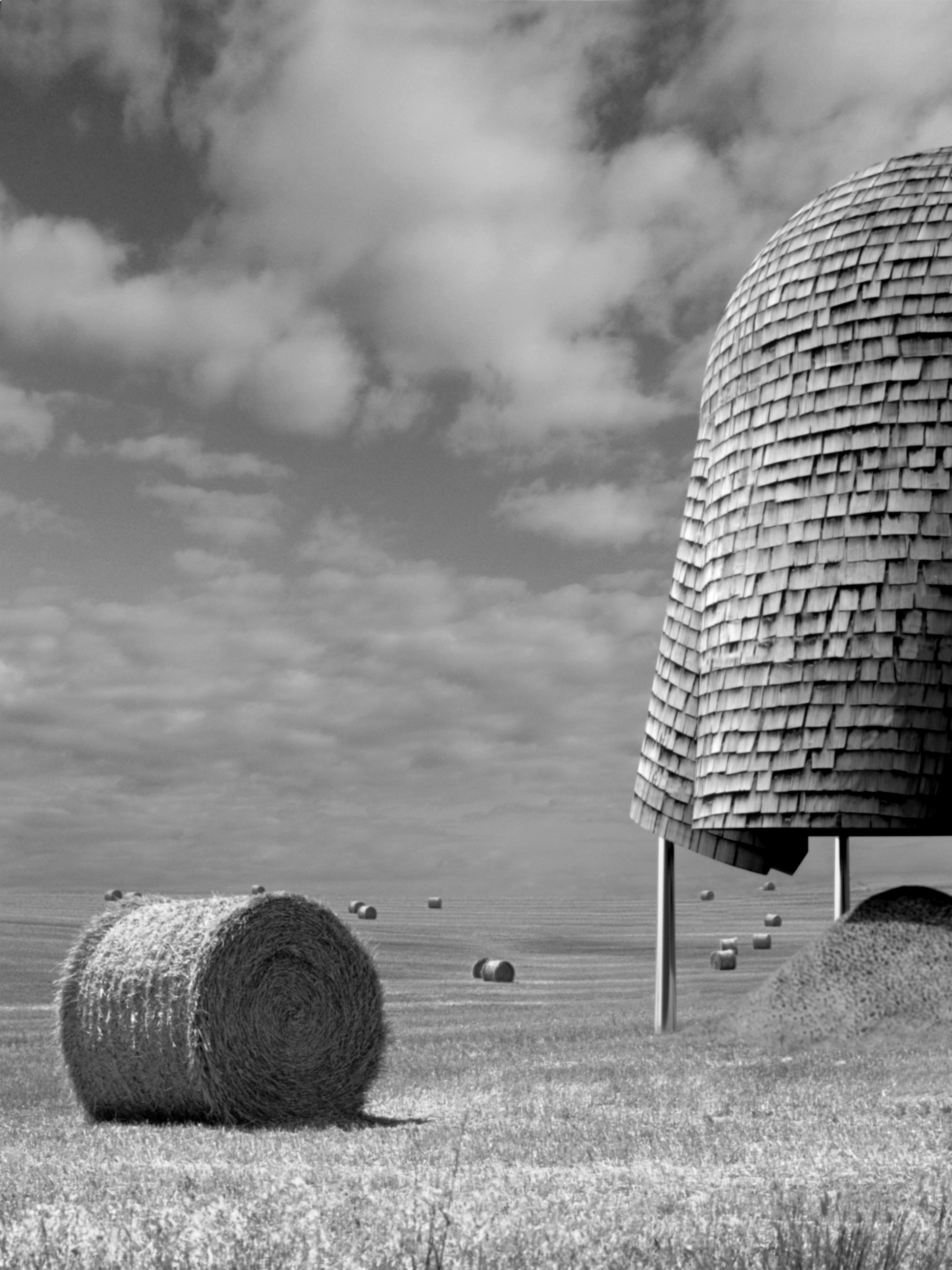 A Project Four Domes — endemicarchitecture-10