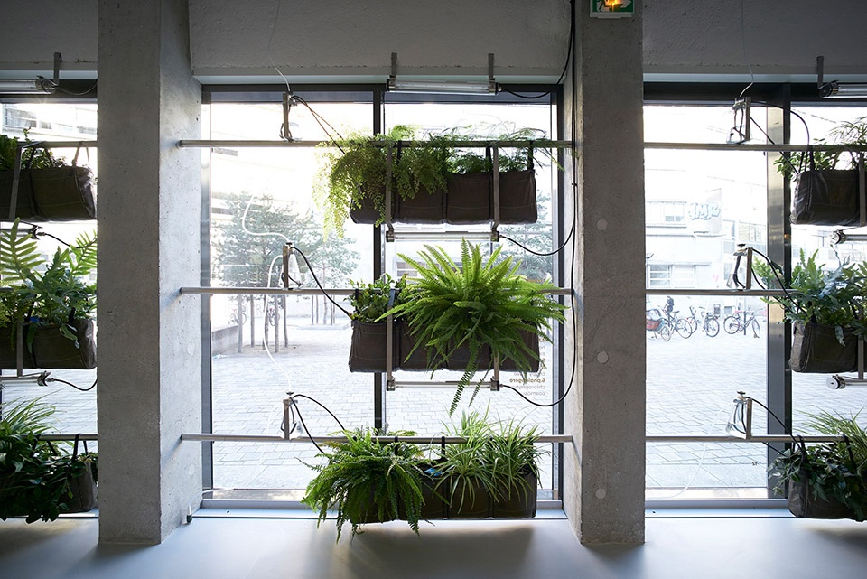 南特大学研究中心绿色立面系统 | 绿意盎然的水培植物模块-7