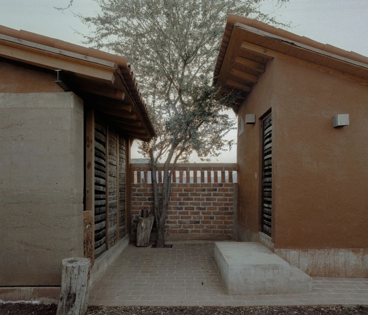 蕨类植物丨墨西哥丨Taller Hector Barroso-64